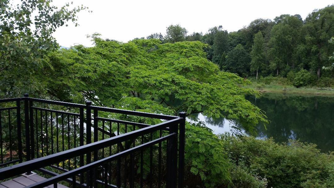 Lewis River Inn主图