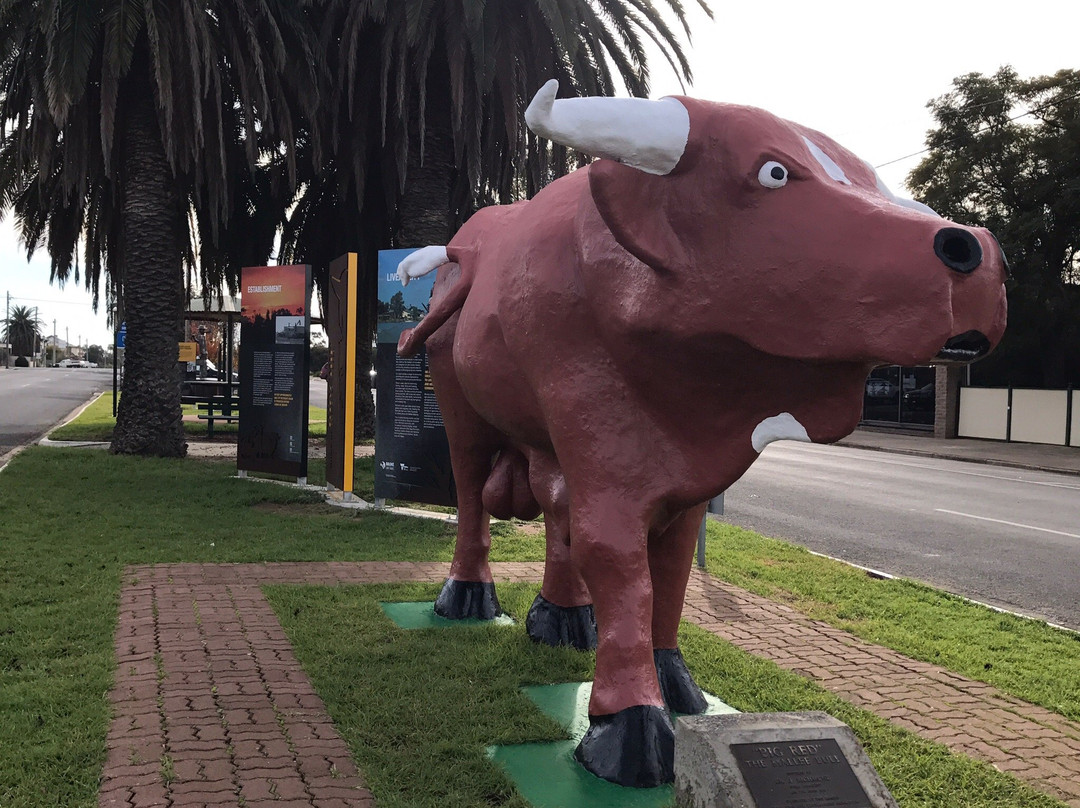 Birchip's Mallee Bull-Birchip必去景点