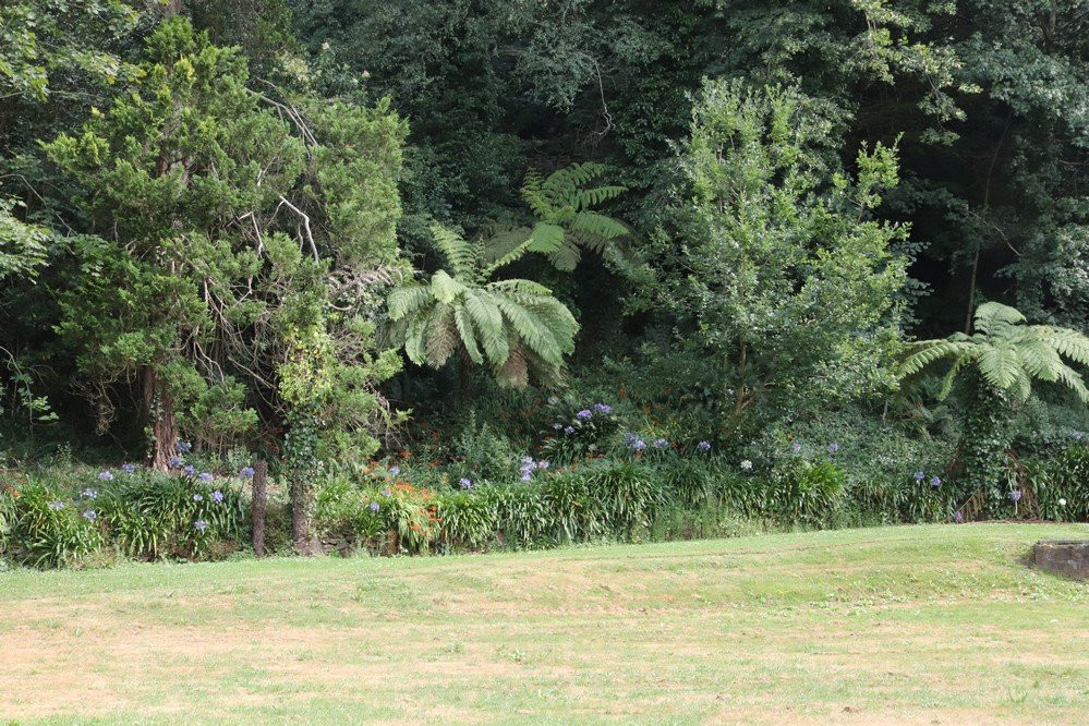 Kingsford Smith Memorial Park景点图片