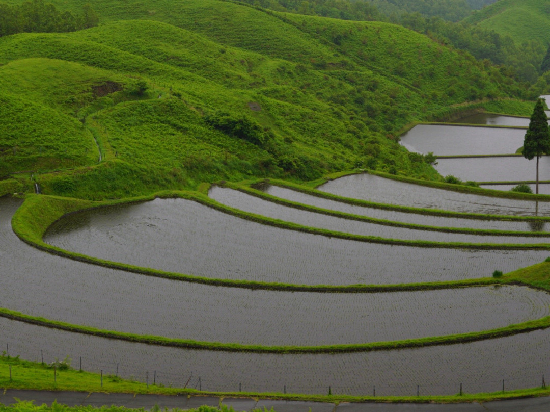 Ogi Rice Terraces景点图片