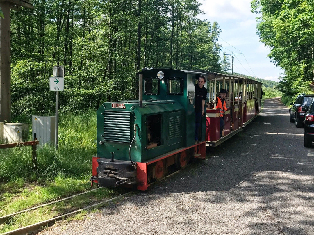 Stumpfwaldbahn Ramsen景点图片