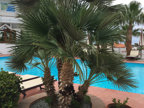 Hotel Baia del Capo主图