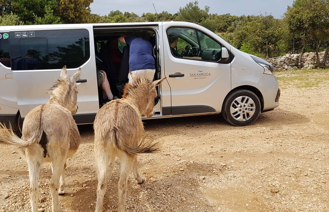 Taxi Karoca Brac景点图片