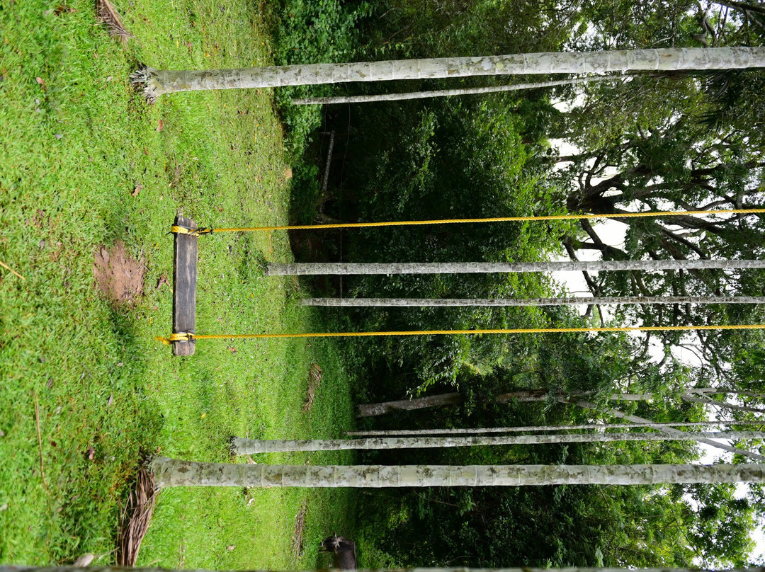 Greens Vista HomeStay主图