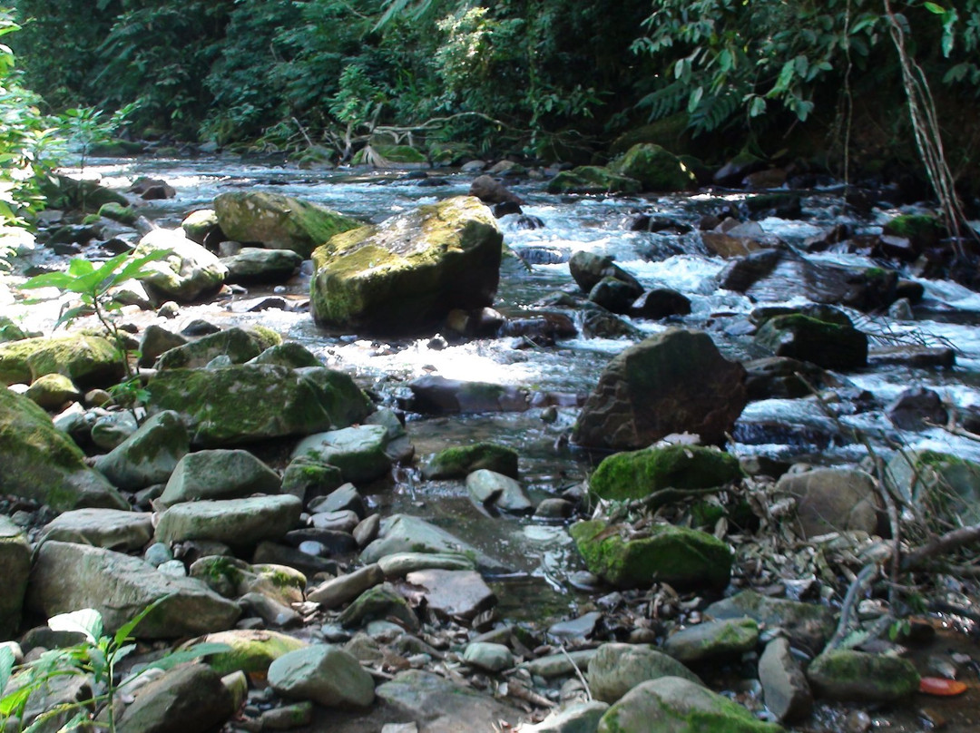 Cachoeira das Andorinhas-伊波兰加必去景点