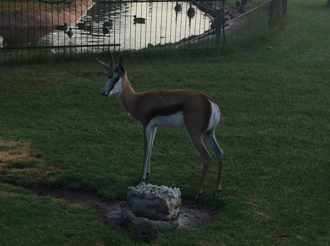 Malikana Guesthouse主图