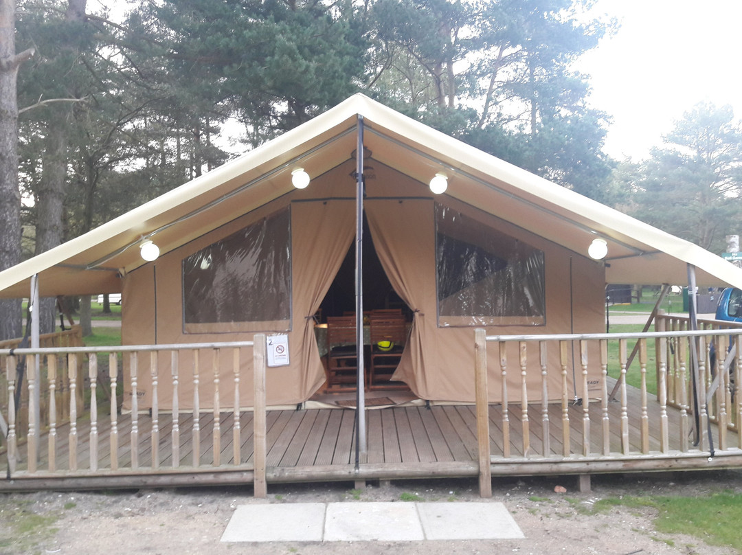 Sandringham Camping and Caravanning Club Site
