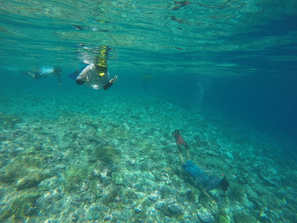 Wakatobi Dive Trip景点图片