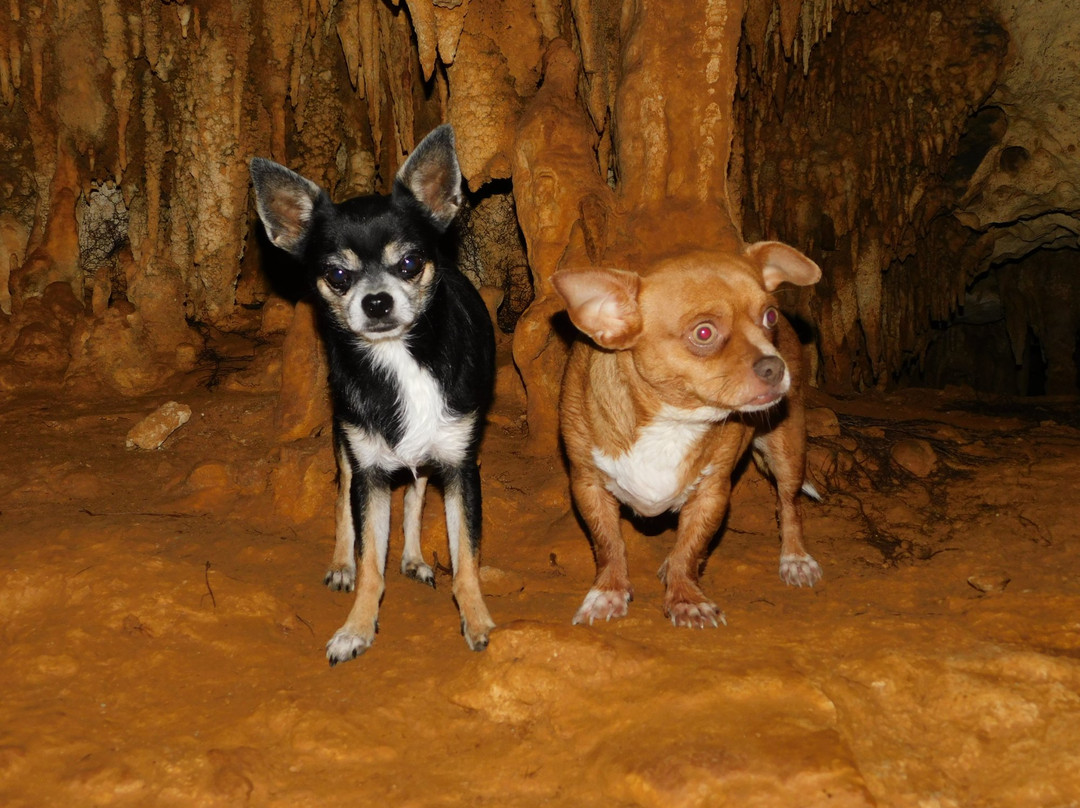 Mayamar Fantastic Jungle-艾库玛尔必去景点