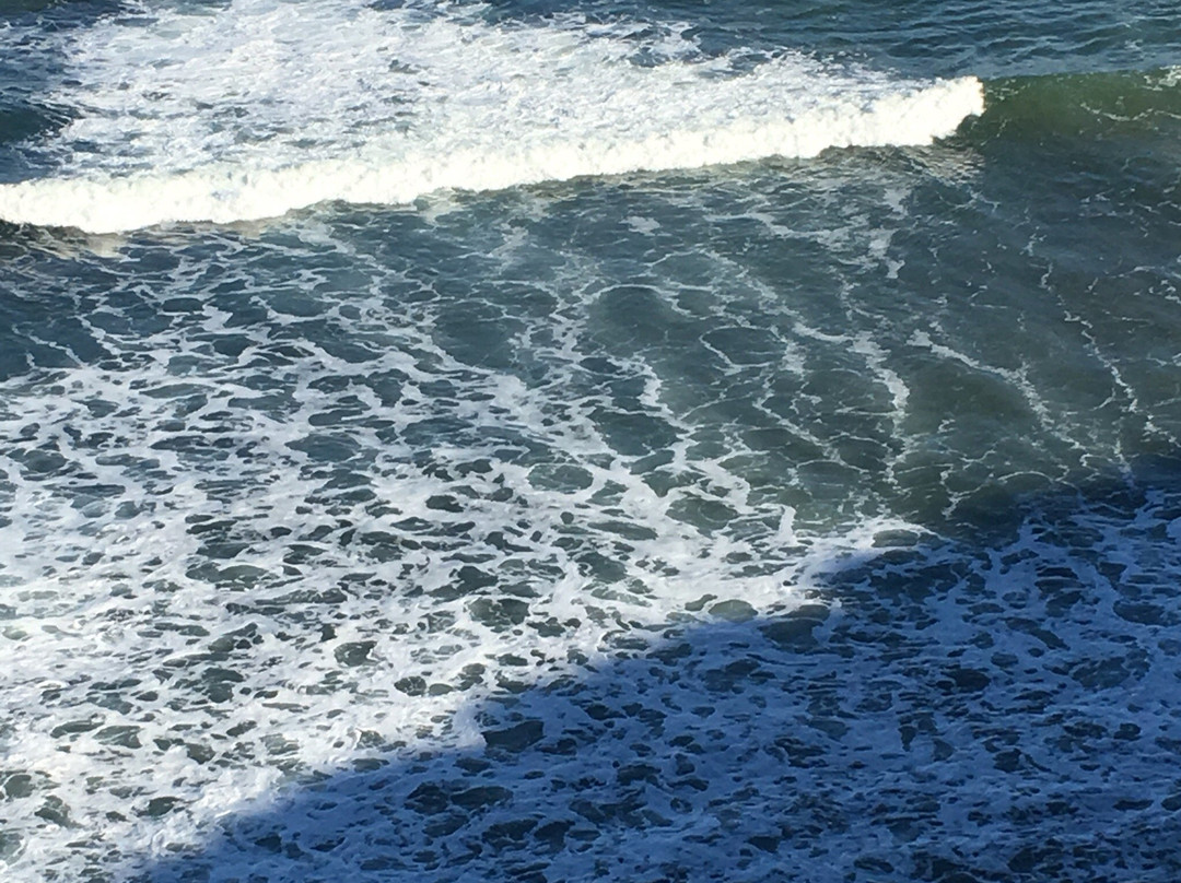 Bird Rock Lookout-Jan Juc必去景点