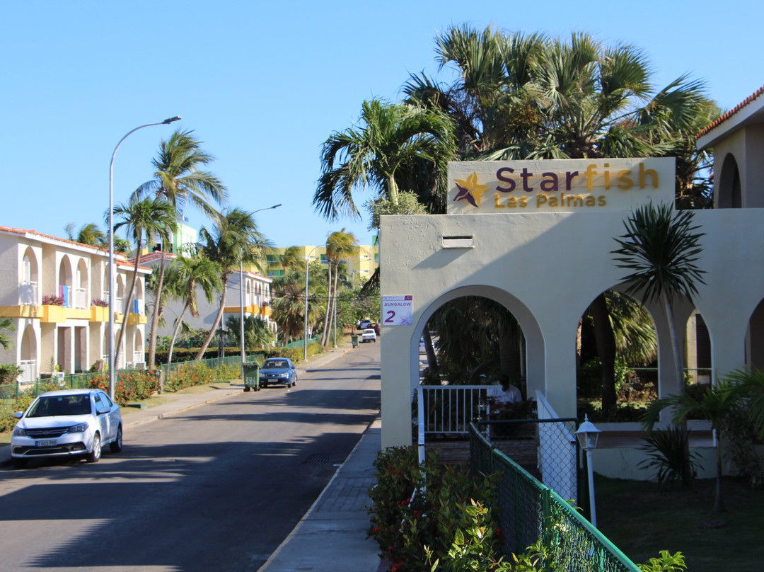 Starfish Las Palmas主图