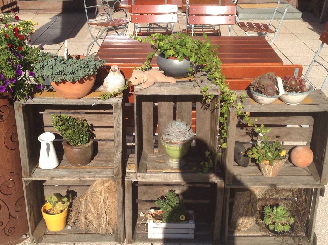 Gasthof Ochsenwirt主图