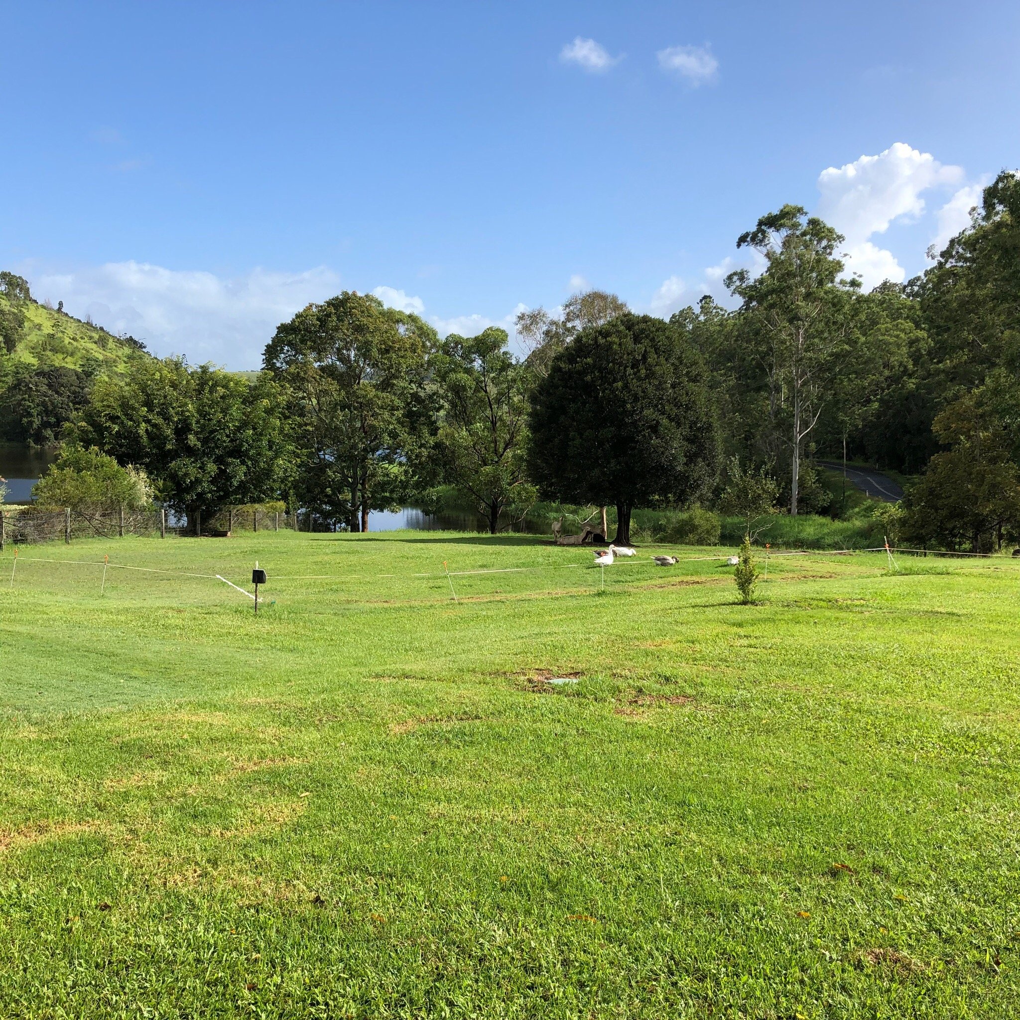 Cedarbrae Bed & Breakfast Inn-官方