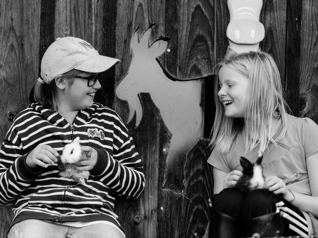 Erlebnisbauernhof Steinerhof In Kärnten主图