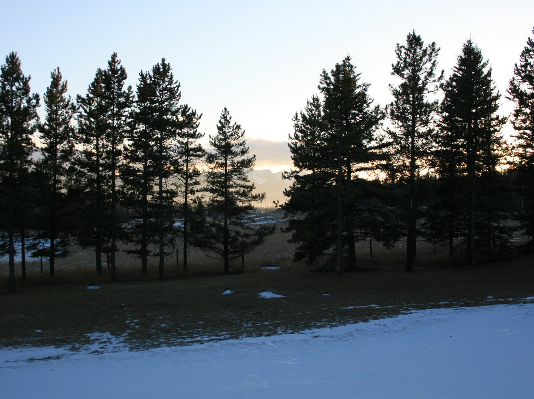 Bar F Ranch House主图