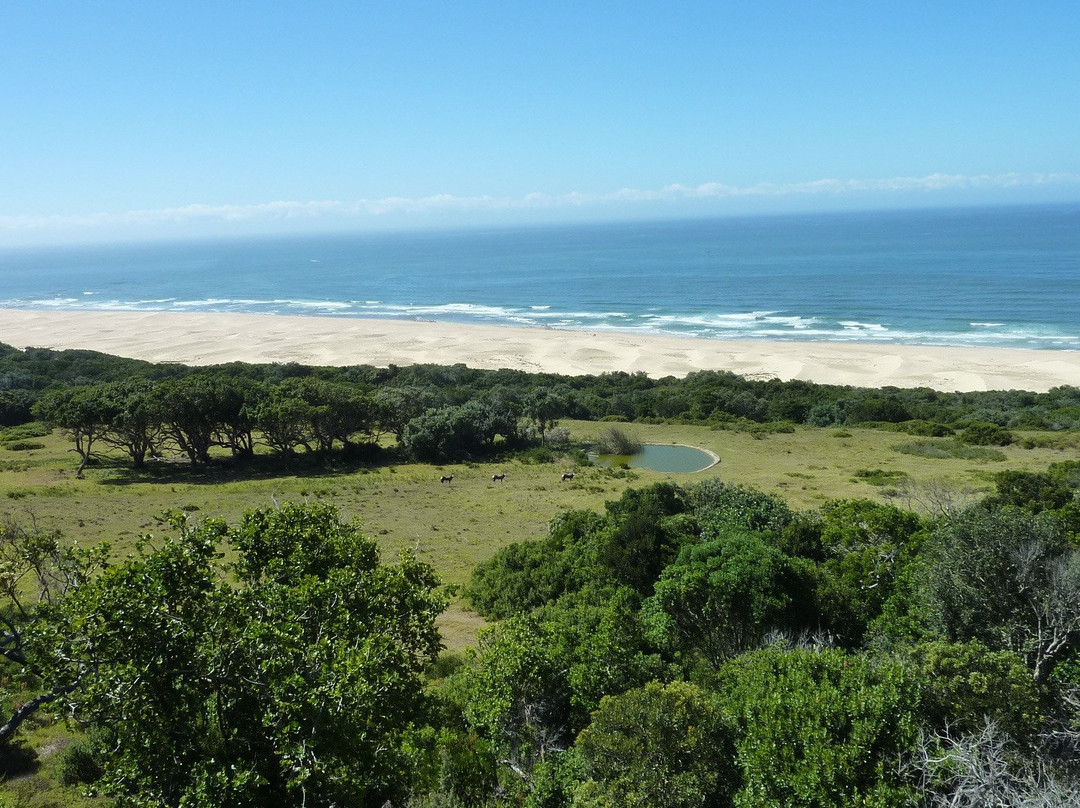 Oceana Beach and Wildlife Reserve主图