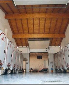 Cantina Fantesini景点图片