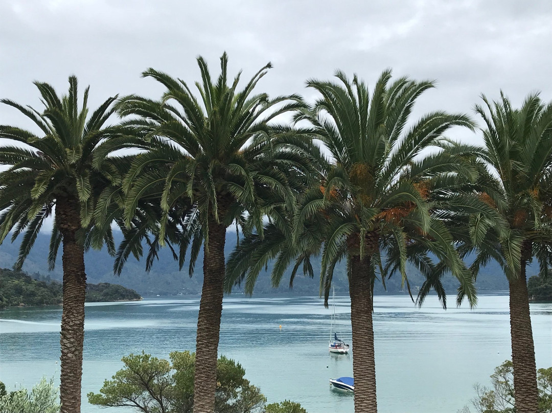 Te Mahia Bay Resort主图