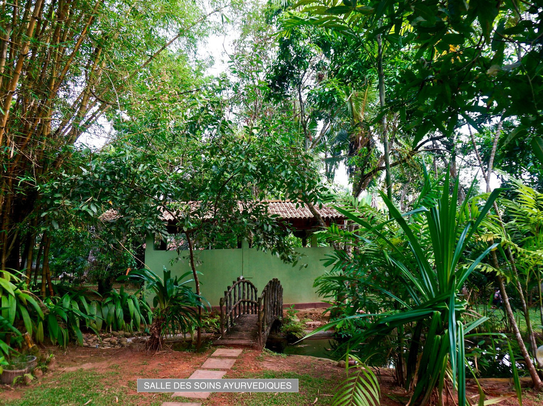 Chandra Villa Ayurveda Resort主图
