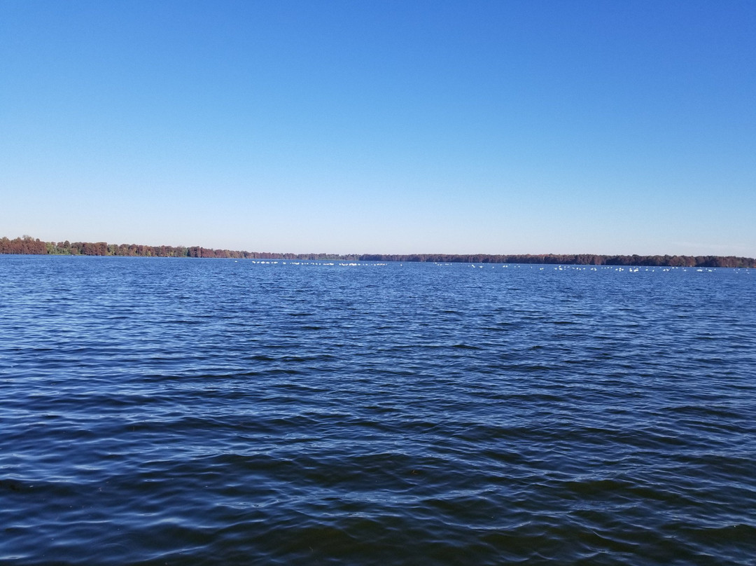 Reelfoot Lake Inn主图