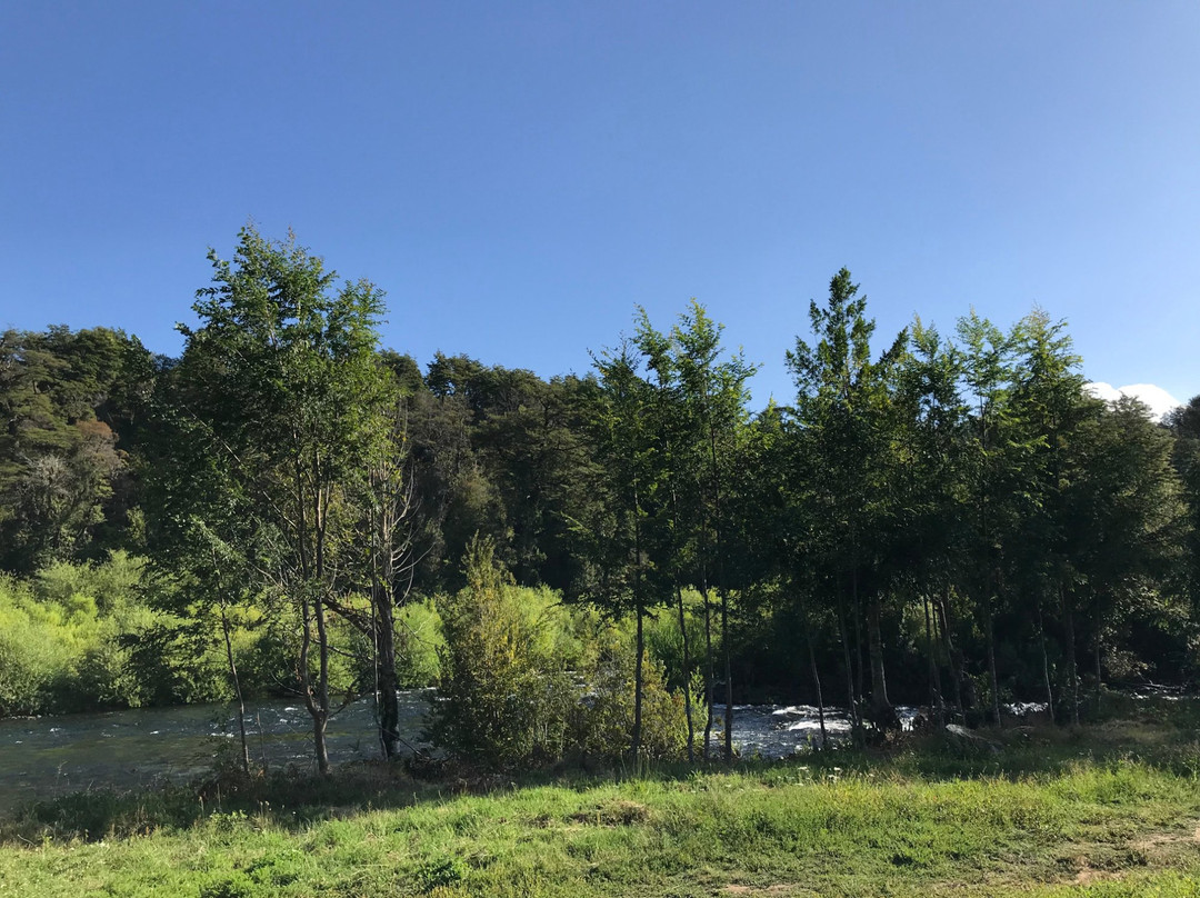 Treca Rupan Lodge主图