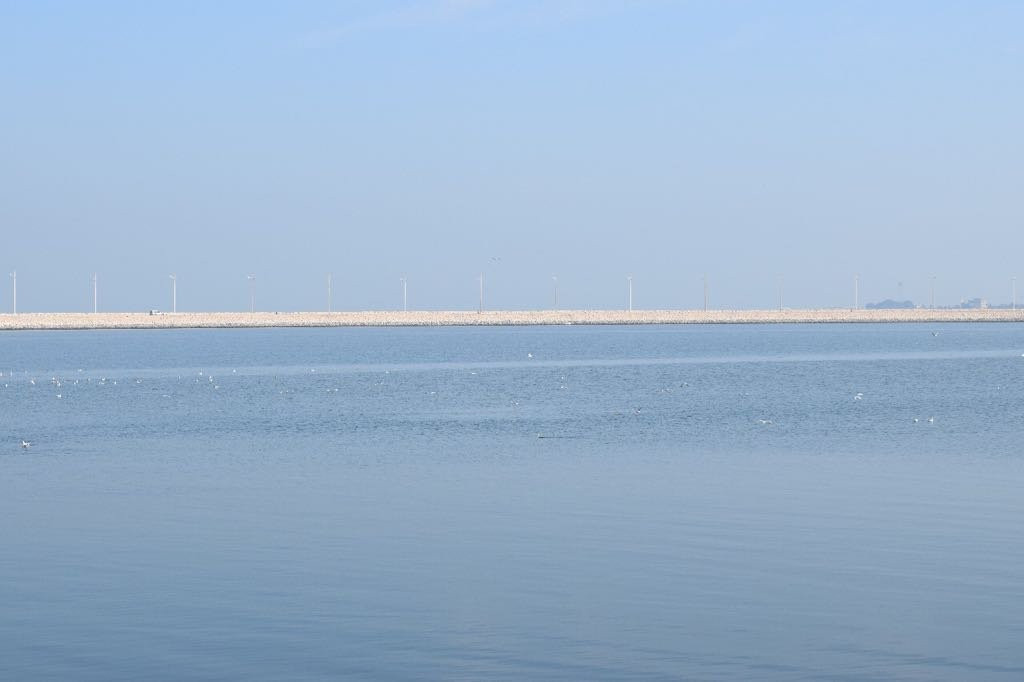 Dolphin Resort主图