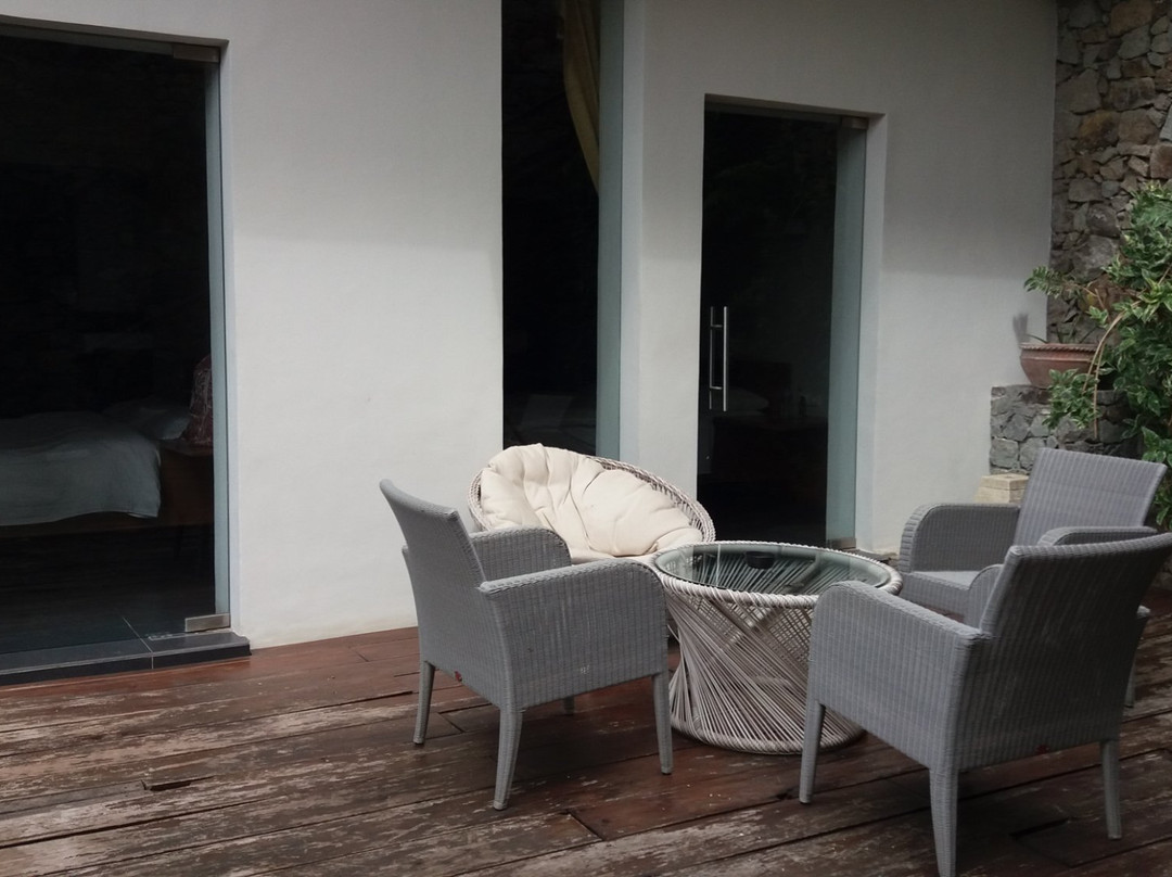 蓝鹦鹉酒店主图