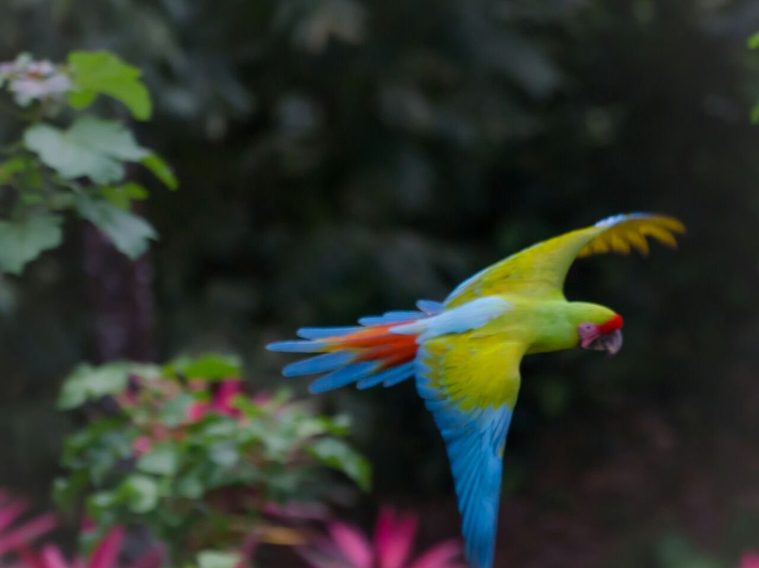 Costa Rica Caribe Tours景点图片