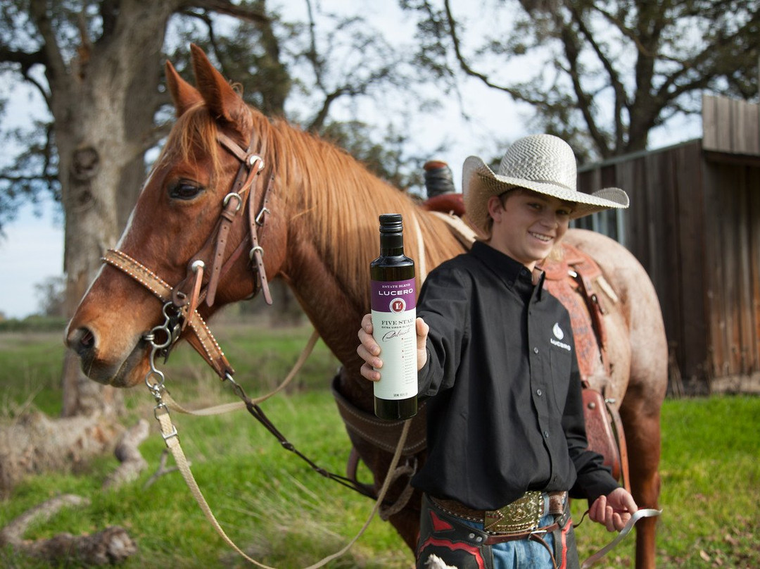 American Olive Farmer, Home of Lucero Olive Oil-Corning必去景点