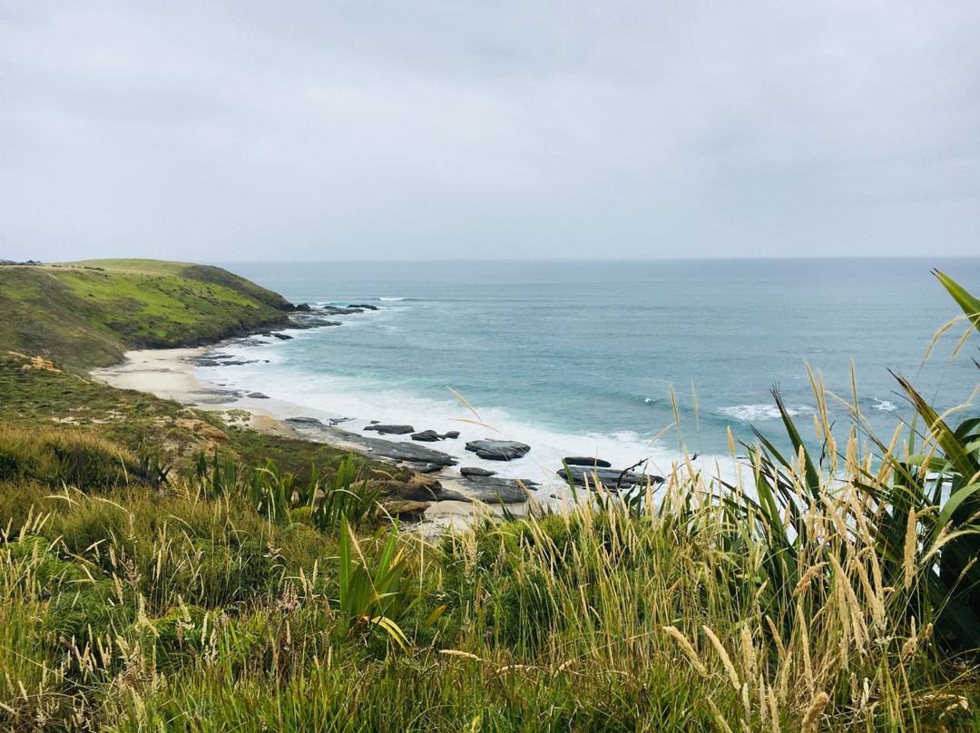 Taumarumaru Scenic Reserve Walk景点图片