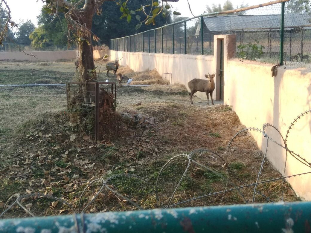 Kanan Pendari Zoo Park景点图片