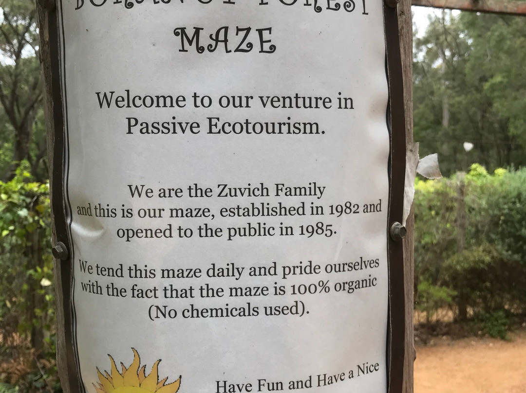 Boranup Forest Maze景点图片