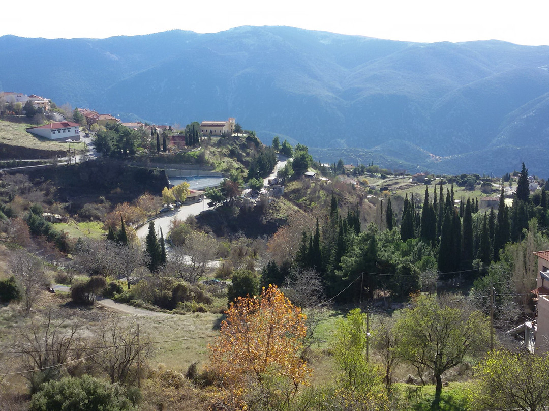 Alpen House主图