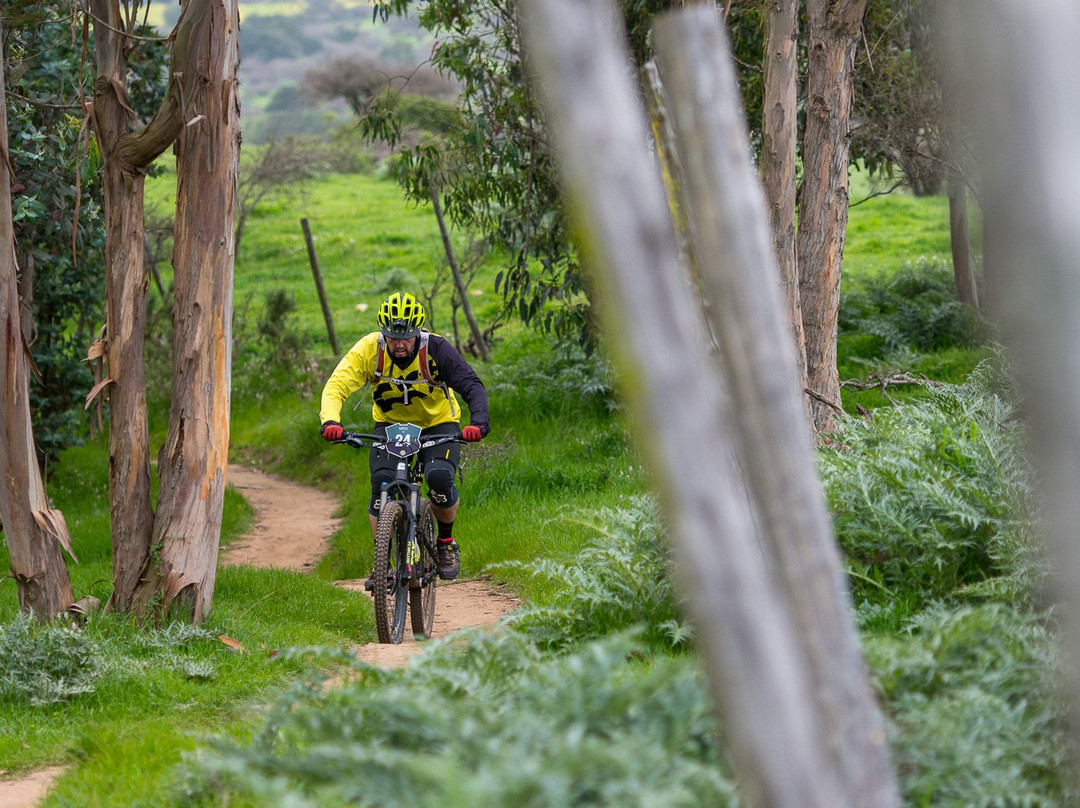 Parque Las Palmas-Cartagena必去景点
