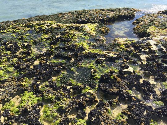 Green Point Beach-Smithton必去景点