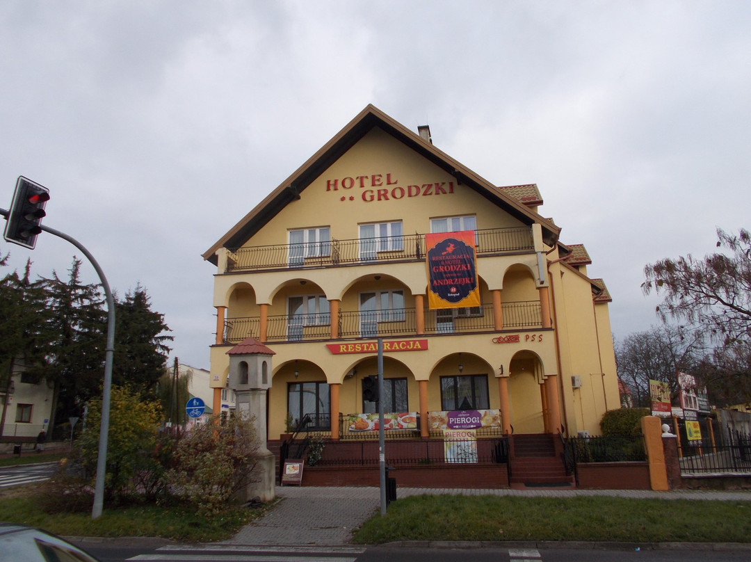 Hotel i Restauracja Grodzka主图