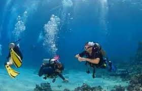 Andaman Discover Private Limited景点图片