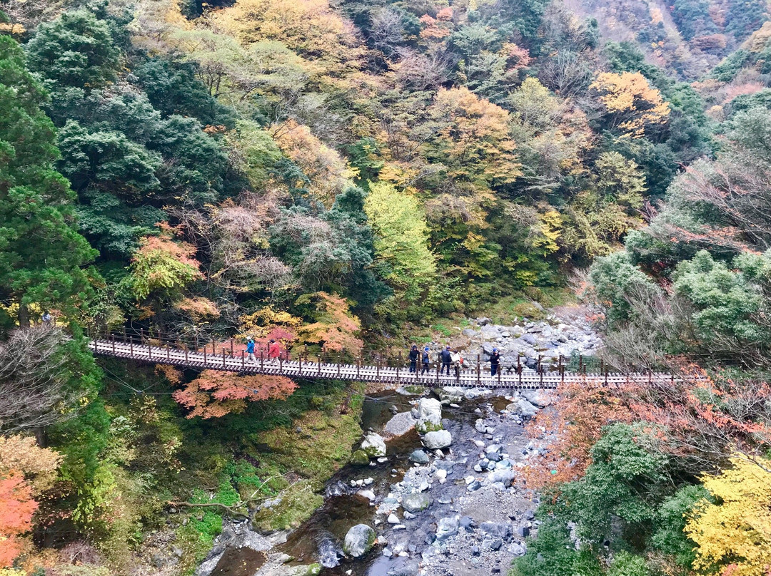 Momigi Suspension Bridge-八代市必去景点