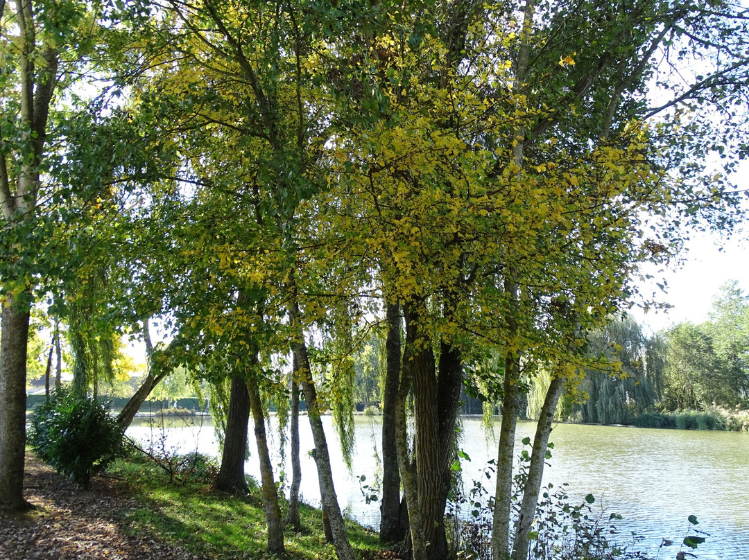 L'Abergement-Sainte-Colombe旅游攻略图片