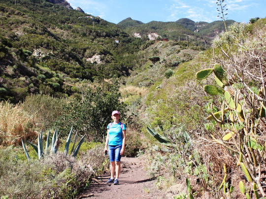 Playa Roque Bermejo-圣克鲁斯-德特内里费必去景点