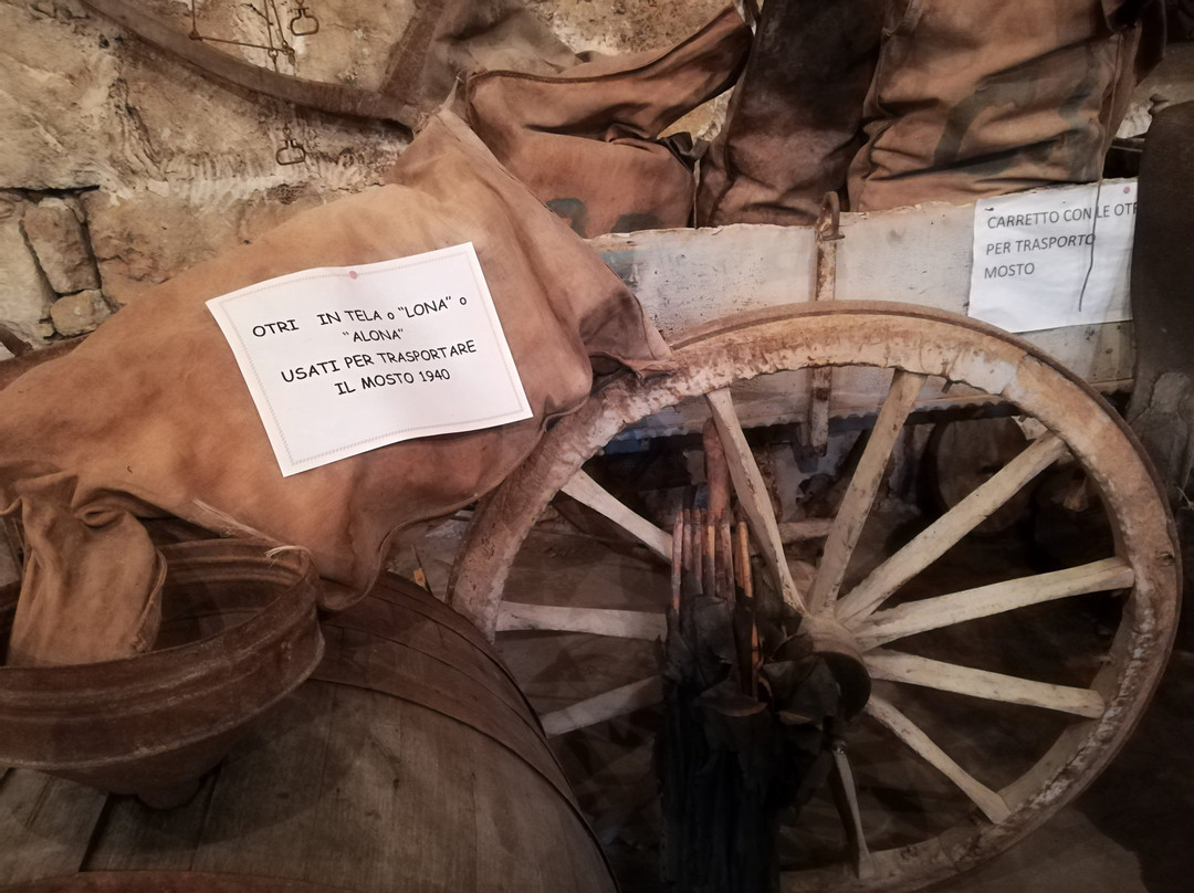 Museo del vino - Nobile-Pachino必去景点