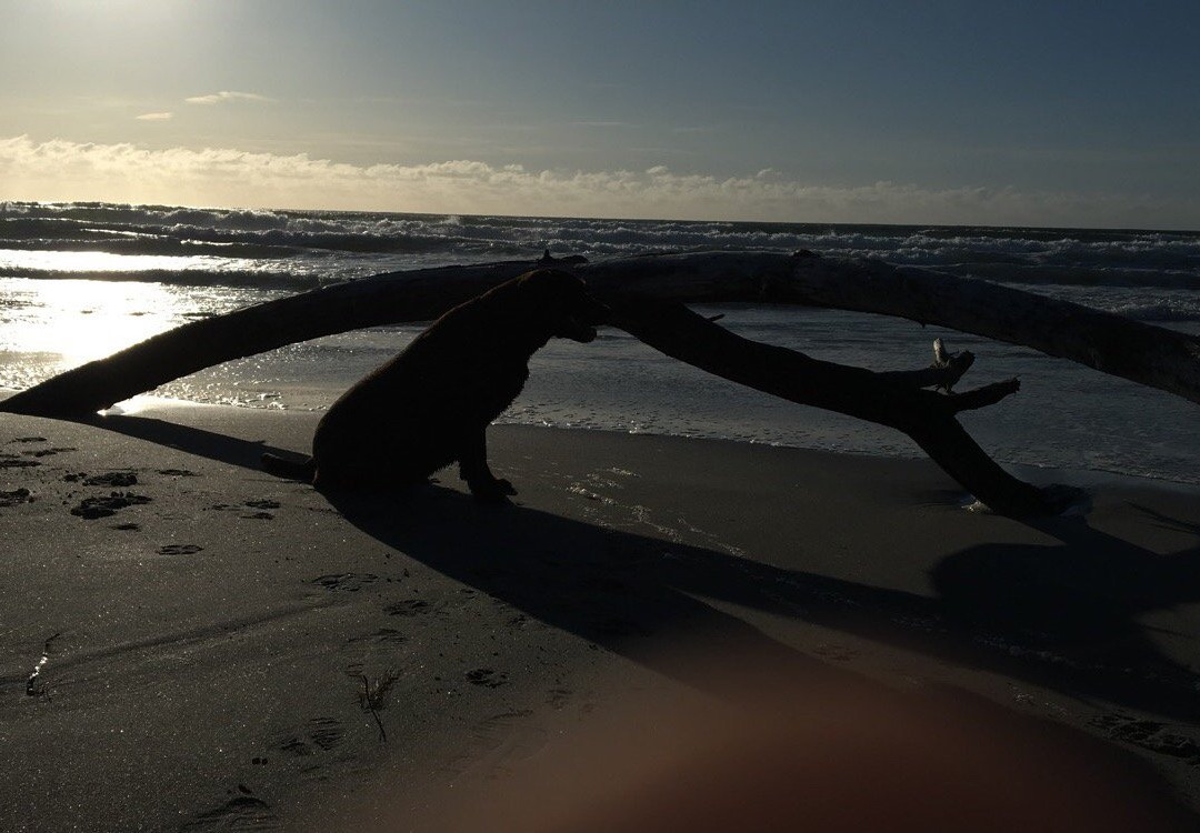 Refsnes Beach景点图片