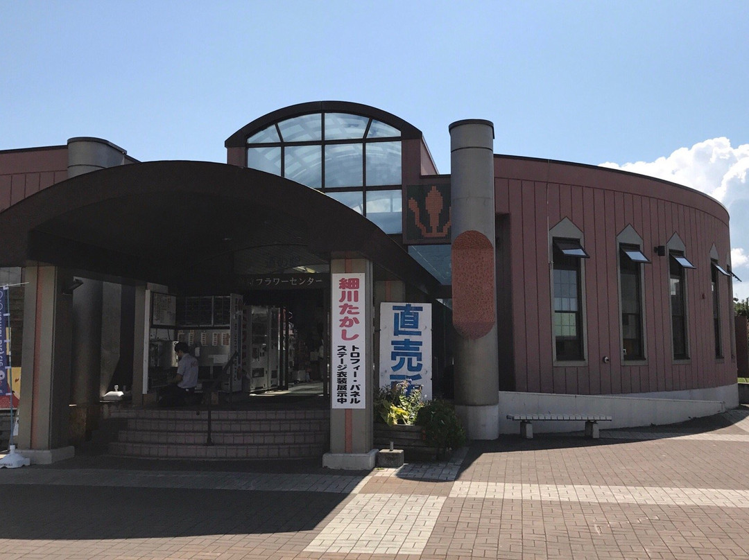 Michi-no-Eki Makkari Flower Center景点图片