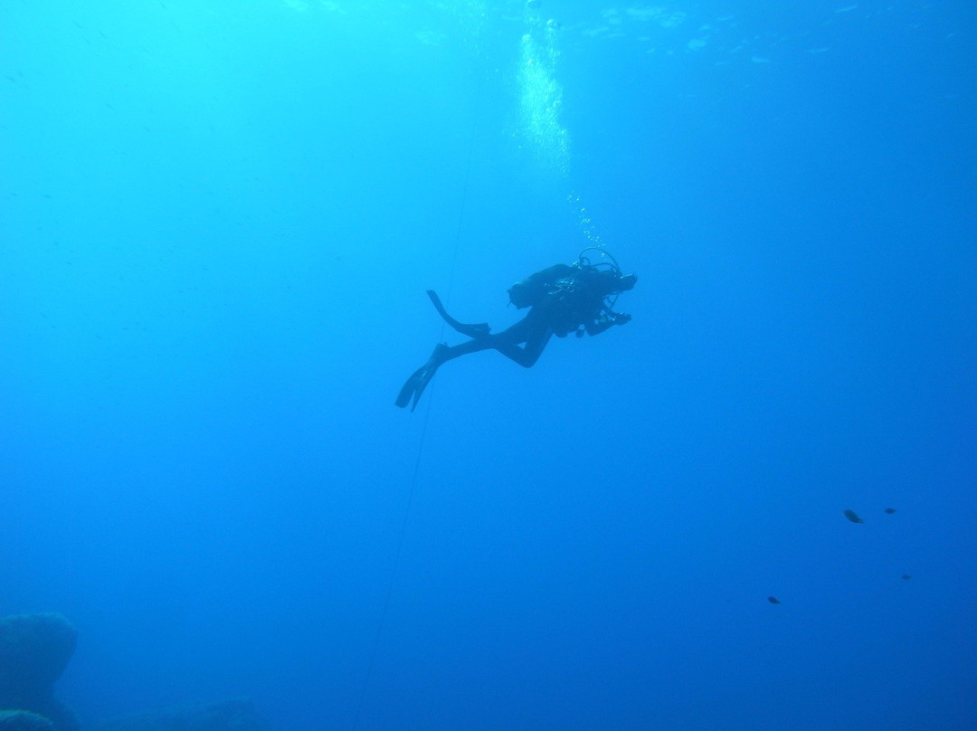 Diving World Ventotene-Ventotene必去景点