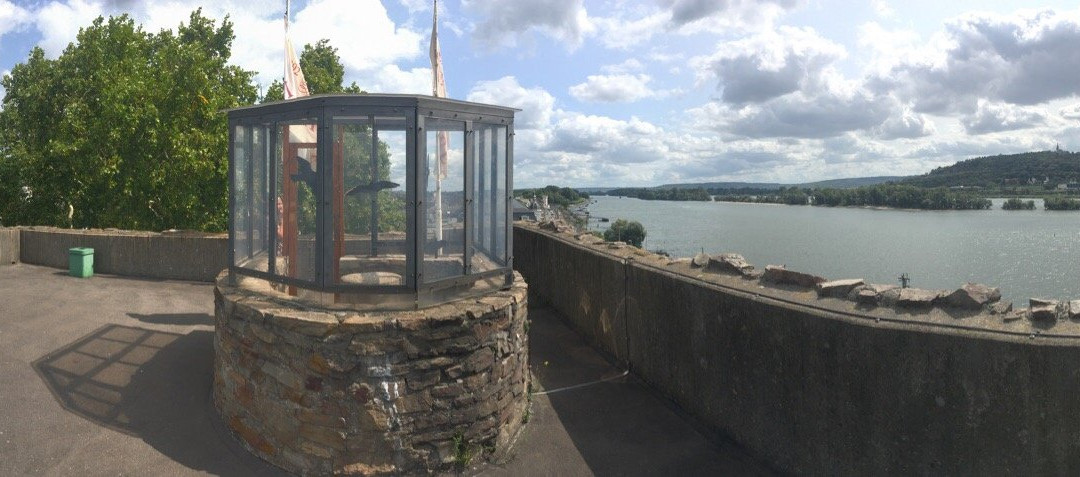 Rheingau Wine Museum Broemserburg Castle-吕德斯海姆必去景点