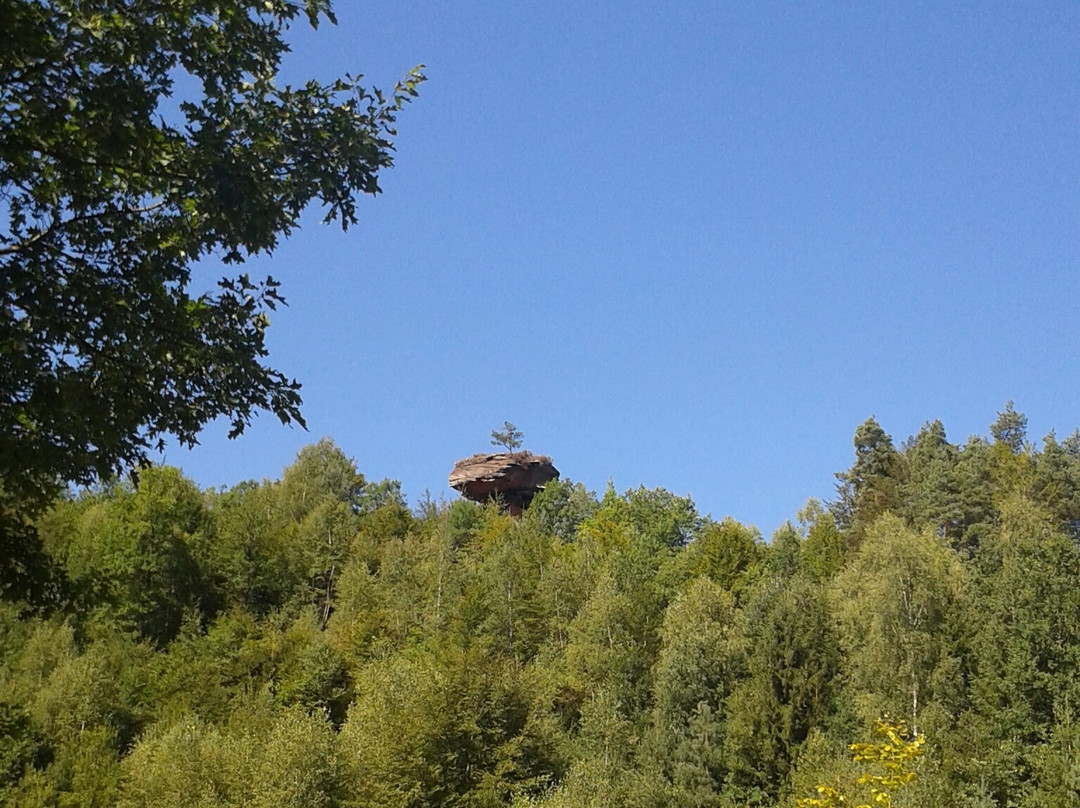 Ruppertsweiler旅游景点-Erlebnispark Teufelstisch