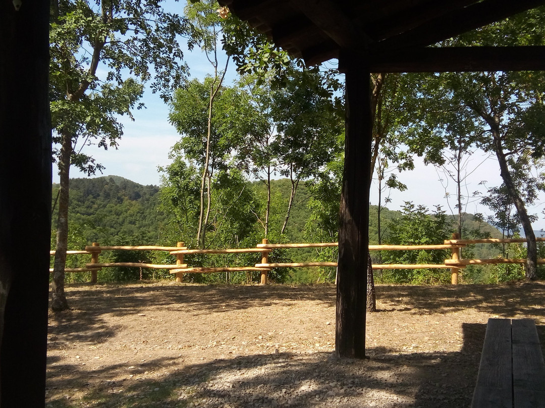 Parco del Castello di Verde景点图片