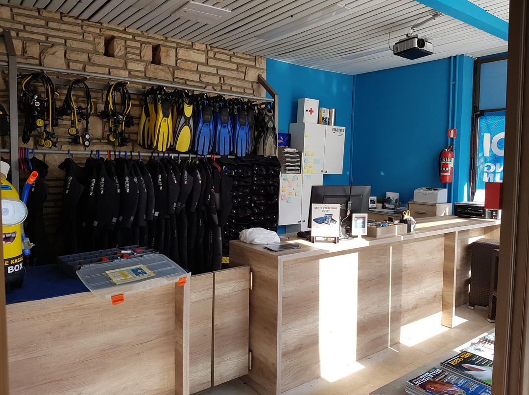 Marine Sport Dive Center景点图片