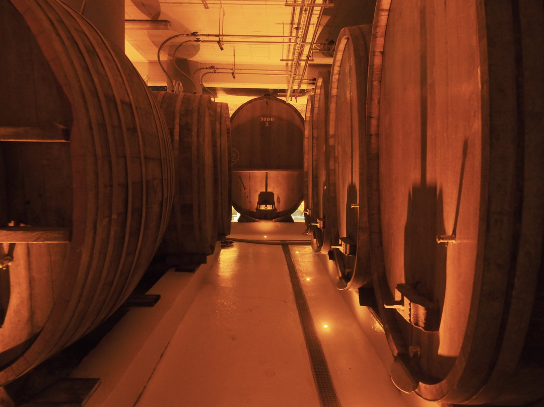 CATTIN - Grands Vins & Cremants d'Alsace-Voegtlinshoffen必去景点