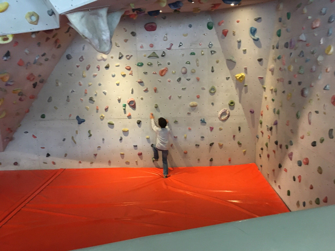 Alpinarium Galtur景点图片